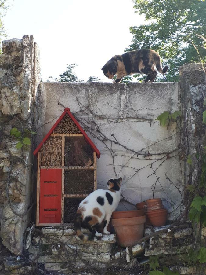 Au Chat Perche Mareil-sur-Mauldre Екстер'єр фото
